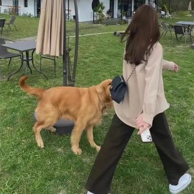 怪兽轨迹